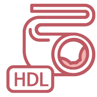 이상지질혈증(고밀도 콜레스테롤)